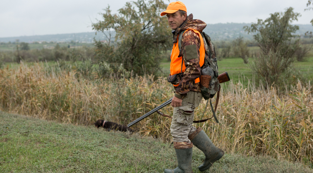 legge toscana sulla caccia: cacciatore in alta visibilità con fucile in mano, cane al suo fianco, costeggiano campo