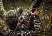 Munizioni in piombo nelle zone umide: Pietro Fiocchi si esprime all’europarlamento Munizioni in piombo nelle zone umide: cacciatore spara ad anatre