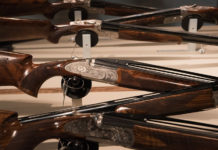 Muoversi a Hit Show 2020: ecco le indicazioni Muoversi a Hit Show 2020, ecco le indicazioni