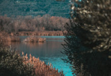 Sito Natura 2000 Torbiere del Sebino: interrogazione contro elezione cacciatore alla presidenza Sito Natura 2000 Torbiere del Sebino interrogazione contro elezione cacciatore alla presidenza