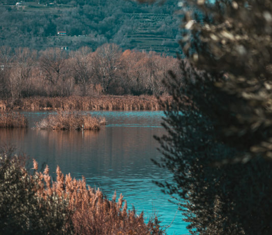 Sito Natura 2000 Torbiere del Sebino: interrogazione contro elezione cacciatore alla presidenza Sito Natura 2000 Torbiere del Sebino interrogazione contro elezione cacciatore alla presidenza
