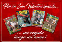 Un regalo lungo un anno per festeggiare San Valentino