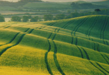 “Inaccettabili tagli ai fondi per lo sviluppo delle zone rurali” fondi per lo sviluppo delle zone rurali: campagna toscana