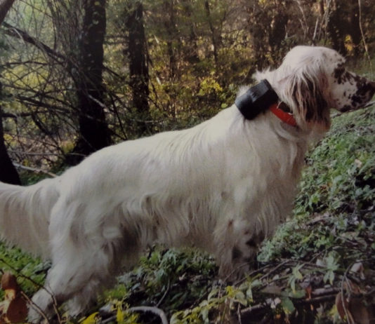 Beretti Beeper Scolopax 4.0: il suono del campano in un beeper Beretti Beeper Scolopax 4.0