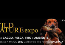 Annullata Wild Nature Expo Annullata Wild Nature Expo