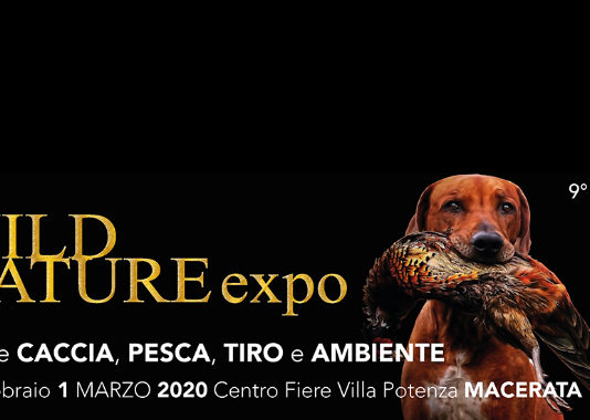 Annullata Wild Nature Expo Annullata Wild Nature Expo