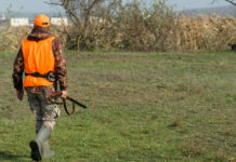 Atc in Puglia: da associazioni venatorie proposta unitaria Atc in Puglia da associazioni venatorie proposta unitaria: cacciatore di spalle nel bosco
