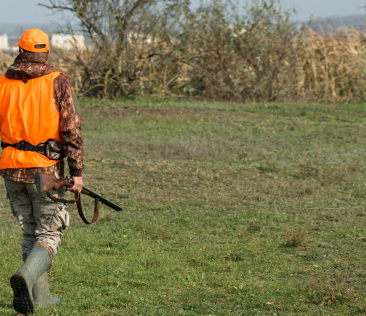 Atc in Puglia: da associazioni venatorie proposta unitaria Atc in Puglia da associazioni venatorie proposta unitaria: cacciatore di spalle nel bosco