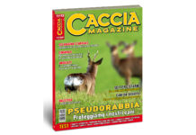 Caccia Magazine aprile 2020 è in edicola Caccia Magazine aprile 2020 è in edicola