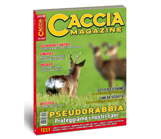 Caccia Magazine aprile 2020 è in edicola Caccia Magazine aprile 2020 è in edicola