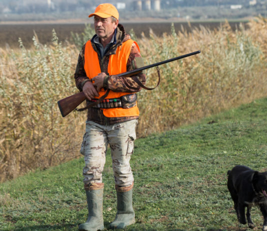 Le scadenze venatorie in Lombardia slitteranno avanti scadenze venatorie in Lombardia: cacciatore in alta visibilità con cane