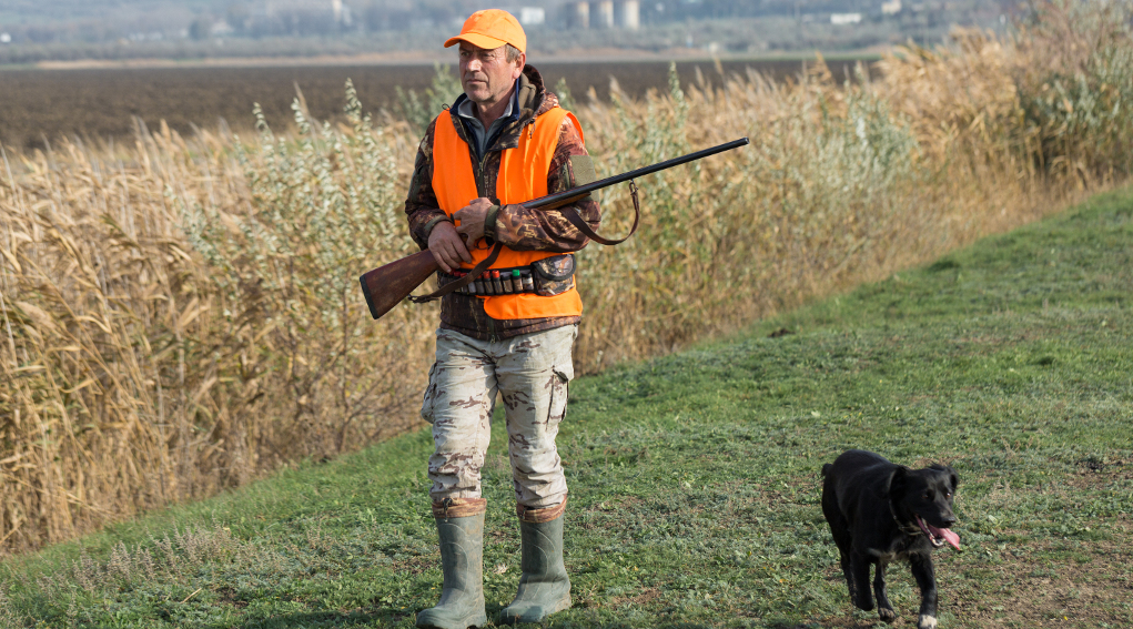 scadenze venatorie in Lombardia: cacciatore in alta visibilità con cane