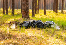 Nuova data per l’Operazione paladini del territorio Nuova data per l’Operazione paladini del territorio: spazzatura nella foresta