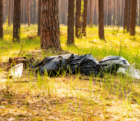 Nuova data per l’Operazione paladini del territorio Nuova data per l’Operazione paladini del territorio: spazzatura nella foresta