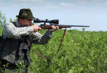 Ora si può andare a caccia? Ora si può andare a caccia? cacciatore di selezione con carabina