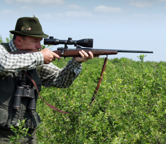 Ora si può andare a caccia? Ora si può andare a caccia? cacciatore di selezione con carabina