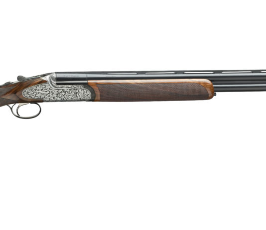 Rizzini gamma Regal: elogio dell’eleganza Rizzini gamma Regal
