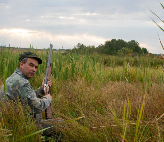 Restituire il tesserino venatorio: la situazione in Lombardia ed Emilia Romagna Restituire il tesserino venatorio Lombardia Emilia Romagna: cacciatore seduto nell'erba con fucile in mano