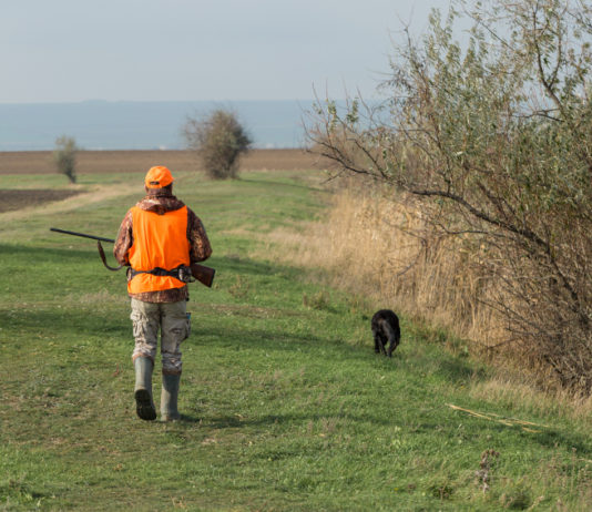 Scadenze per la caccia in Toscana: la richiesta della CCT Scadenze per la caccia in Toscana: cacciatore in alta visibilità di spalle a fianco di cane da caccia