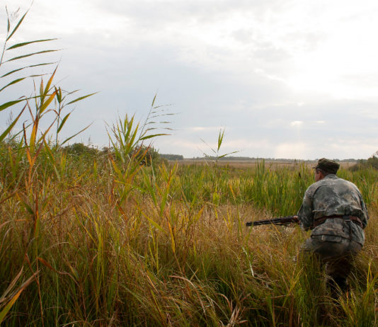 Scadenze venatorie in Toscana, CCT: “Giunta deciderà presto” Scadenze venatorie in Toscana: cacciatore di spalle con fucile