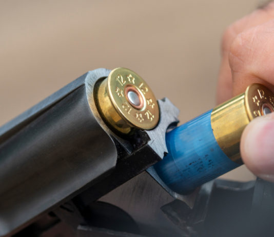 Scadenze venatorie in Toscana: giunta decide proroga Scadenze venatorie in Toscana giunta decide proroga