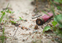 Munizioni in piombo: un dibattito aperto munizioni in piombo