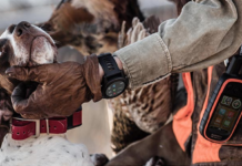 Kit collare Garmin Atemos 100/K5: promozione primavera 2020 Garmin Atemos 100/K5