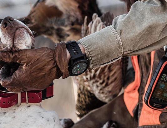 Kit collare Garmin Atemos 100/K5: promozione primavera 2020 Garmin Atemos 100/K5