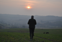 Caccia alla lepre: quanti rebus per uno scovo caccia alla lepre