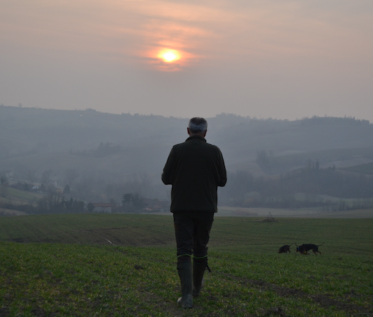 Caccia alla lepre: quanti rebus per uno scovo caccia alla lepre