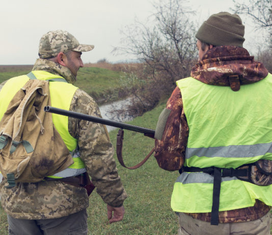 Tesserino venatorio in Emilia Romagna: ecco la proroga per la consegna Tesserino venatorio in Emilia Romagna ecco la proroga per la consegna