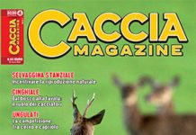 Caccia Magazine n. 4 aprile 2020