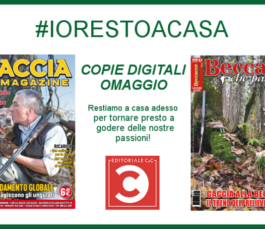 Manteniamo viva la nostra passione