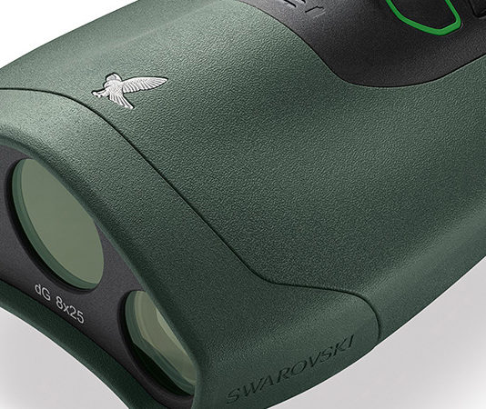 Swarovski dG: osservazione e riconoscimento