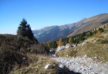 Cer Lombardia: prendi i sentieri Cer Lombardia