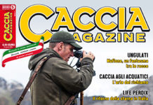 Caccia Magazine n. 5 maggio 2020