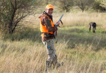 Calendario venatorio dell’Umbria: le proposte di Federcaccia ed Enalcaccia Calendario venatorio dell’Umbria: cacciatore in alta visibilità con cane