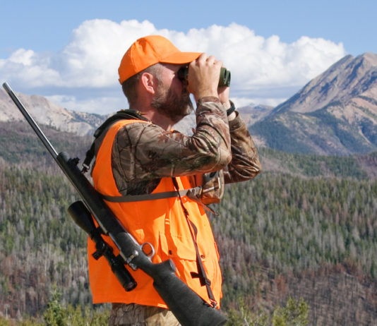 La caccia nella fase 2 dell’emergenza sanitaria: la cabina di regia chiede incontro al governo caccia nella fase 2 dell’emergenza sanitaria: cacciatore con gilet alta visibilità guarda nel binocolo, carabina a tracolla