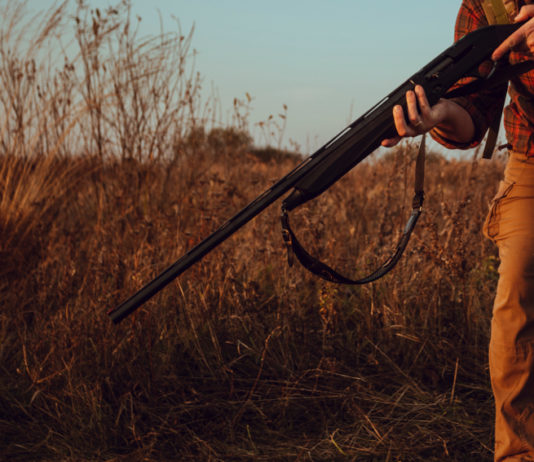 Legge sulla caccia in Toscana, CCT: “A breve approdo in consiglio” Legge sulla caccia in Toscana: cacciatore prende mira verso il basso