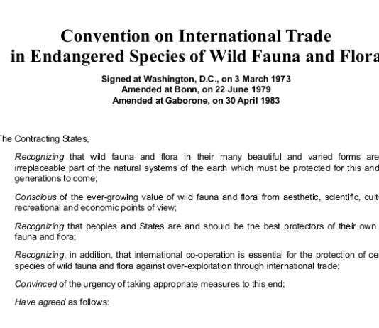 Licenza Cites per il commercio internazionale di flora e fauna selvatica: la Guardia di Finanza sulla proroga Licenza Cites per il commercio internazionale di flora e fauna selvatica la Guardia di Finanza sulla proroga