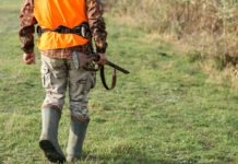 Restituzione dei tesserini venatori in Veneto: nuova scadenza, nuove modalità restituzione dei tesserini venatori in Veneto: cacciatore di spalle, gilet in alta visibilità, fucile nella mano destra