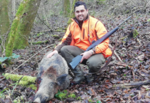 Caccia al cinghiale: come migliorare le braccate caccia al cinghiale
