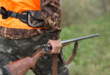 Approvato il calendario venatorio della Liguria per la stagione 2020/2021 calendario venatorio della Liguria: cacciatore con gilet alta visibilità e fucile nella mano destra