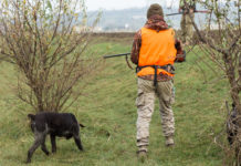 Approvato il calendario venatorio della Toscana Approvato il calendario venatorio della Toscana: cacciatore di spalle con gilet arancione e fucile in mano, cane al suo fianco
