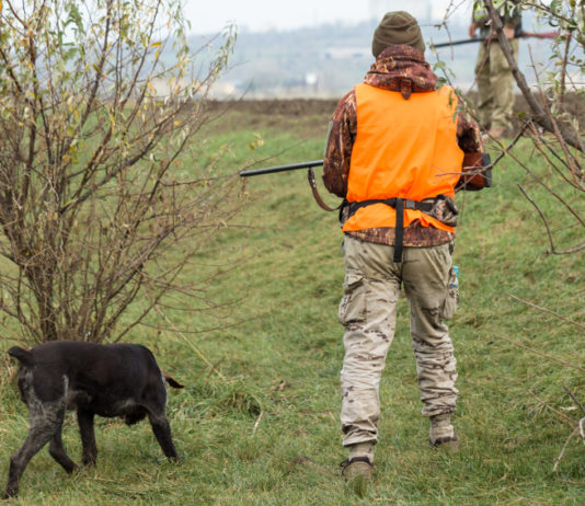 Approvato il calendario venatorio della Toscana Approvato il calendario venatorio della Toscana: cacciatore di spalle con gilet arancione e fucile in mano, cane al suo fianco