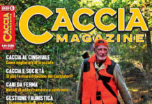 Caccia Magazine n. 6 giugno 2020
