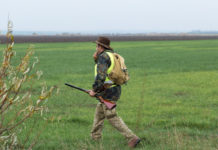 Calendario venatorio del Veneto, incontro tra associazioni e Regione Calendario venatorio del Veneto: cacciatore con gilet alta visibilità e fucile in mano fischia a cane