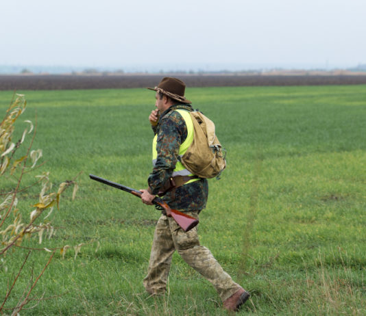 Calendario venatorio del Veneto, incontro tra associazioni e Regione Calendario venatorio del Veneto: cacciatore con gilet alta visibilità e fucile in mano fischia a cane
