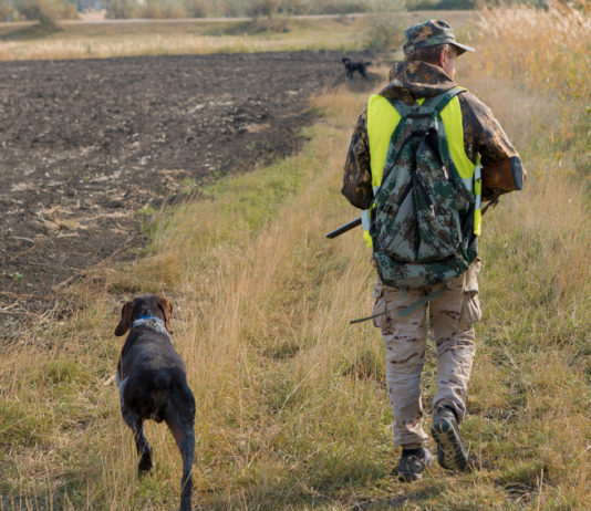 Calendario venatorio della Toscana: le anticipazioni della Cct calendario venatorio della Toscana: cacciatore di spalle con cane