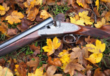 Doppietta Cosmi: il test doppietta cosmi tra le foglie autunnali